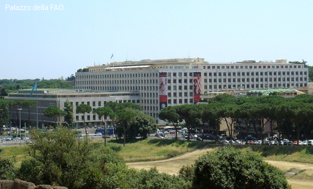 La fame, tragedia devastante e ingiusta, arma di guerra. Il Messaggio di Leone XIV alla FAO